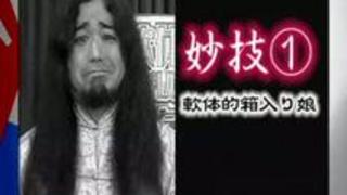 軟体微乳娘 好色雑技団が見せるＨな妙技 完全版（２）日本ポルノビデオ